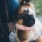 owner holds dog as he looks pensively at the camera